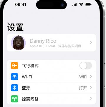 崇左appleID维修服务iPhone设置中Apple ID显示为灰色无法使用 