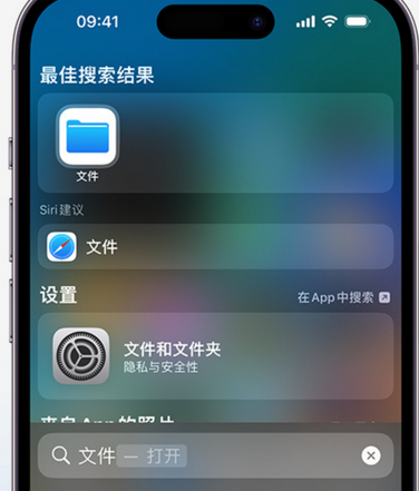 崇左apple维修中心分享iPhone文件应用中存储和找到下载文件