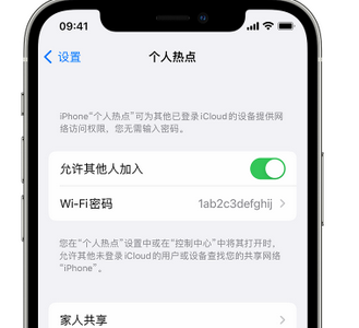 崇左apple服务站点分享iPhone上个人热点丢失了怎么办 