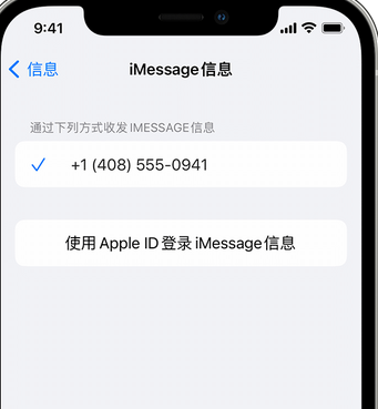 崇左apple维修iPhone上无法正常发送iMessage信息 