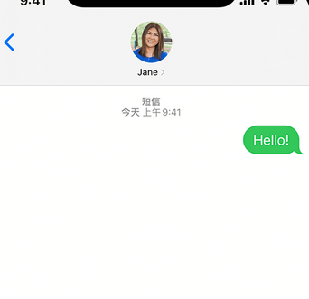 崇左apple维修iPhone上无法正常发送iMessage信息