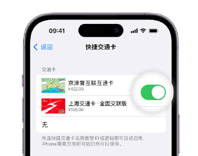 崇左apple维修点分享iPhone上更换Apple Pay快捷交通卡手绘卡面 