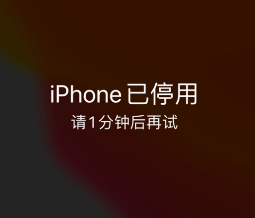 崇左苹果手机维修分享:iPhone 显示“不可用”或“已停用”怎么办？还能保留数据吗？ 