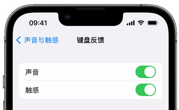 崇左苹果手机维修分享iPhone 14触感键盘使用方法 