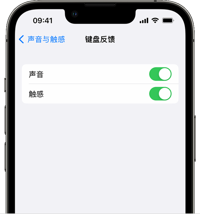 崇左苹果14维修店分享如何在 iPhone 14 机型中使用触感键盘 