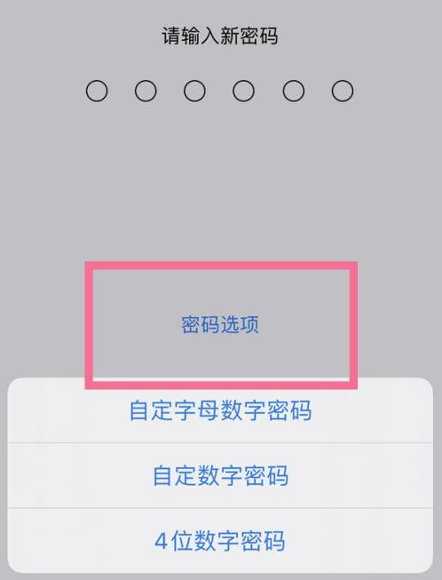 崇左苹果14维修分享iPhone 14plus设置密码的方法 