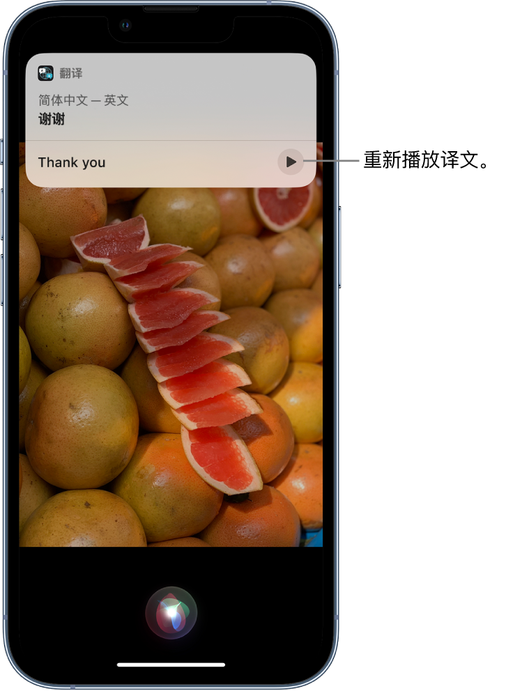 崇左苹果14维修分享 iPhone 14 机型中使用 Siri：了解 Siri 能帮你做什么 