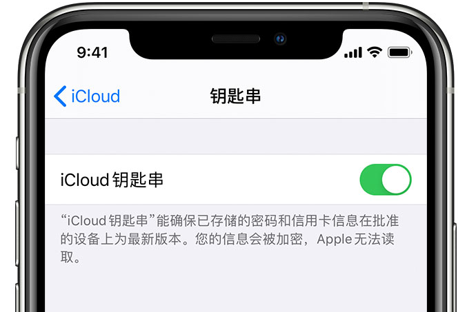 崇左苹果手机维修分享在 iPhone 上开启 iCloud 钥匙串之后会储存哪些信息 