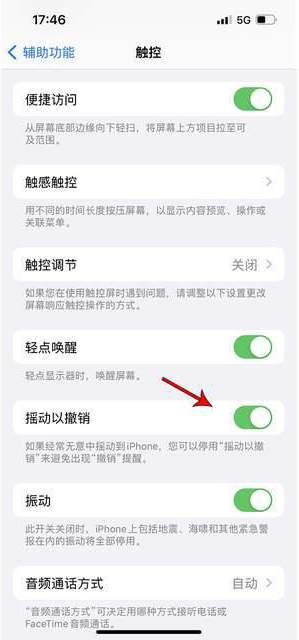 崇左苹果手机维修分享iPhone手机如何设置摇一摇删除文字 