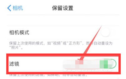 崇左苹果13维修分享iPhone13拍照有绿点是怎么回事 