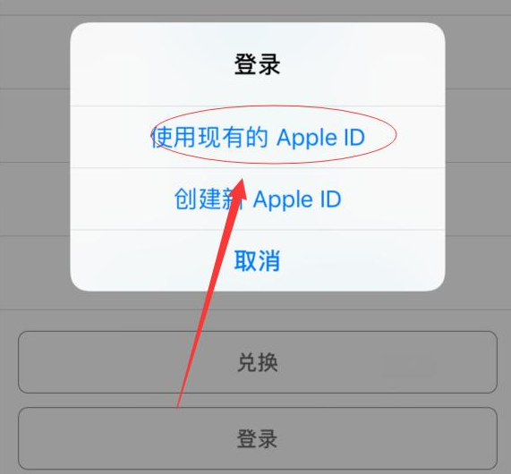 崇左苹果手机维修分享两台iPhone设备可以同时登录一个Apple ID吗 