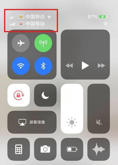 崇左苹果手机维修分享为 iPhone 12 双卡设置标签 